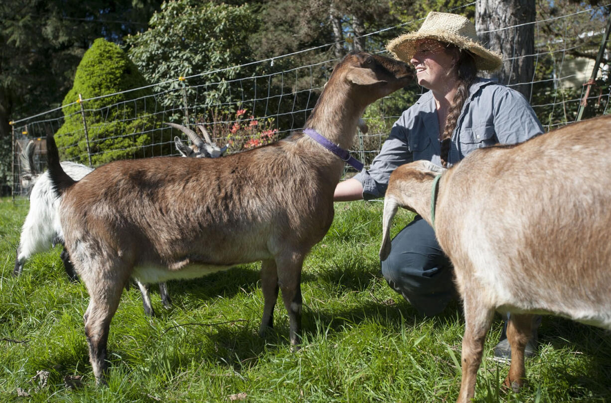 Jennifer Van Wey spends time with the goats at Quackenbush Farm outside Ridgefield.