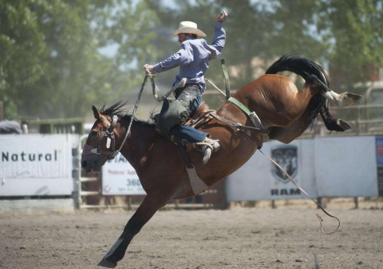 Cooper DeWitt hangs on to a bucking horse in the saddle bronc riding event Sunday on the final day of the Vancouver Rodeo in Vancouver.