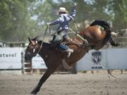 Cooper DeWitt hangs on to a bucking horse in the saddle bronc riding event Sunday on the final day of the Vancouver Rodeo in Vancouver.