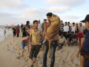 Ibrahim Al-Jamal, 17, carries Mona, the female lion cub, as Max the male lion cub is petted by people on the  beach of Gaza City, in the northern Gaza Strip.