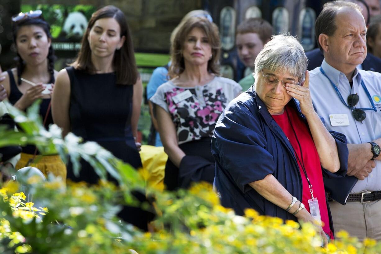 Zoo volunteer and &quot;big panda fan&quot; Mara Strock, right, wipes her eyes while listening to the news of the death of one of the new panda cubs during a news conference at the Smithsonian's National Zoo in Washington, Wednesday, Aug. 26, 2015.