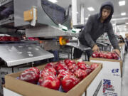 Associated Press files
A worker helps pack apples for export at Valicoff Fruit in Wapato in 2013.