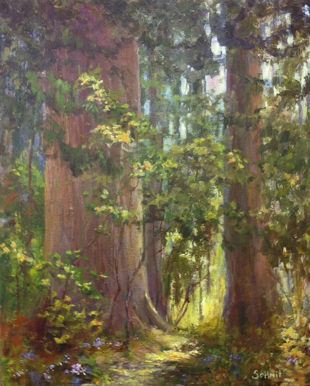 Aurora Gallery welcomes new art by Ruth Schmit, along with many other gallery aritsts through Feb.