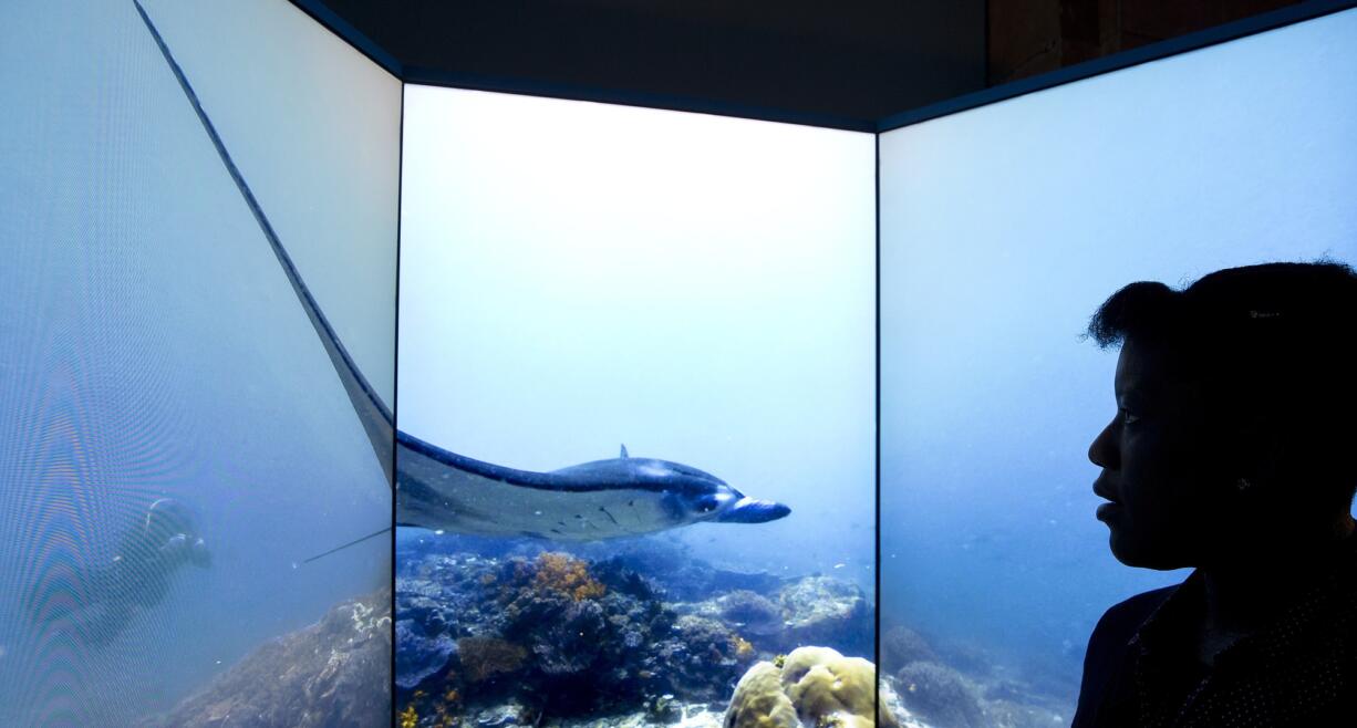 Miranda Lowe, collection manager poses for a photograph by the virtual dive screens showing a diver next to a manta ray as it swims over a coral reef, during a media preview of 'Coral Reef - Secret Cities of the Sea' exhibition at the Natural History museum in London, Wednesday, March, 25, 2015. The museum?s new show plunges into the underwater world, featuring a ?virtual dive? that provides a 180-degree view of five coral reefs controlled by a joystick, including one vista with a manta ray in Komodo Island, Indonesia.