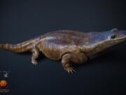 marc boulay/University of Edinburgh/Cossima Productions
This artist's rendition shows a Metoposaurus algarvensis, a previously unknown species of crocodile-like &quot;super salamander&quot; that roamed the Earth -- specifically, Portugal -- more than 200 million years ago. It grew up to 6 feet long.