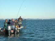 Anglers in the Buoy 10 fishing area at the Columbia River estuary can keep chinook and fin-clipped coho beginning Friday.