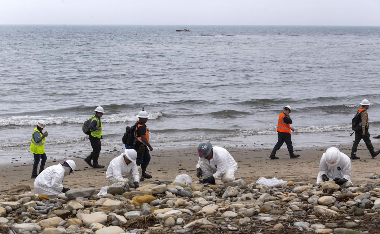 Cleanup Assessment Technique team members evaluate oil coverage June 10  as workers clean up areas affected by an oil spill at Refugio State Beach, north of Goleta, Calif.