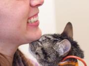 Kymberly Chelf gets a chin nuzzle from Moosie while visiting her two-year-old cat Tuesday at Mt.