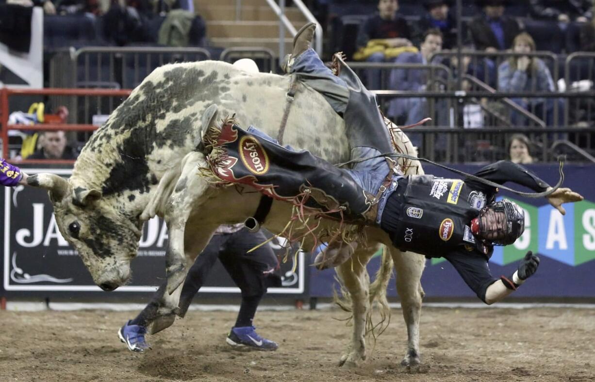 Chase Outlaw, of Hamburg, Ariz., dismounts Sun Dome on Jan. 17 during the Professional Bull Riders Buck Off, in New York's Madison Square Garden. Serious injuries are occupational hazards for bull riders, but doctors, riders and researchers say the most pervasive injuries are concussions. The Professional Bull Riders circuit's lead medical staffer says he hasn't seen a drop in the number of concussions despite the widespread use of helmets.