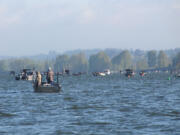 Davis Bar along the Washington shore opposite the mouth of the Willamette River is a popular early-season spot for spring chinook salmon in the Columbia River.