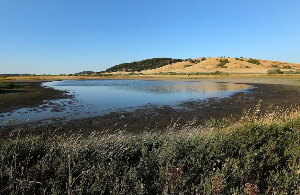 A view of Taverner's Marsh at Baskett Slough National Wildlife Refuge on Friday near Dallas, Ore.