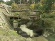 The first dust and smoke emerges from the base of Condit Dam as a 700-pound charge of TNT detonates, clearing the final section of tunnel underneath the dam.