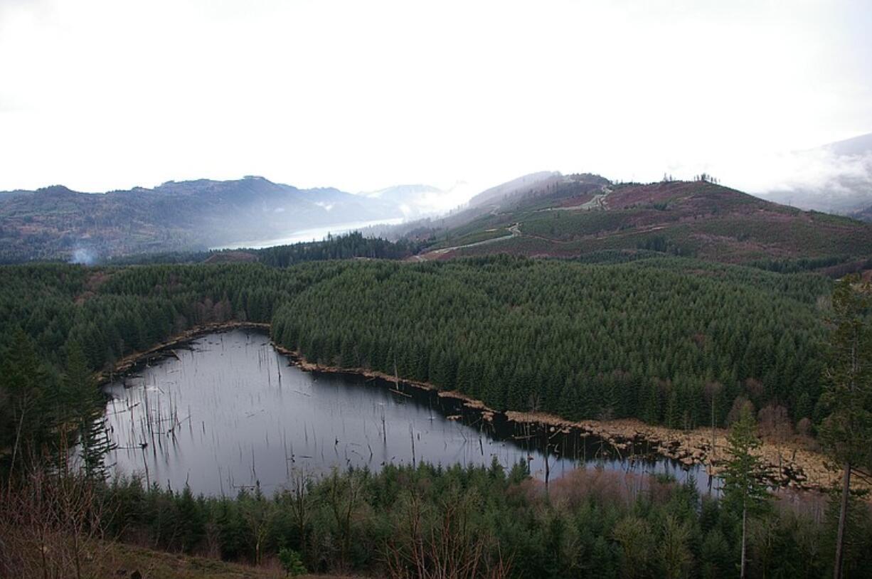 Frasier pond is part of the 490 acres purchased for wildlife habitat in the Saddle Mountain area of southern Cowlitz County.