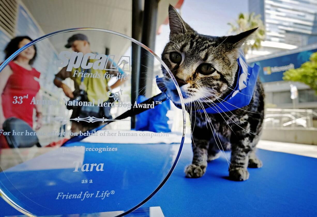 Tara, a 7-year-old adopted cat, won the 33rd Annual National Hero Dog Award on Friday in Los Angeles.