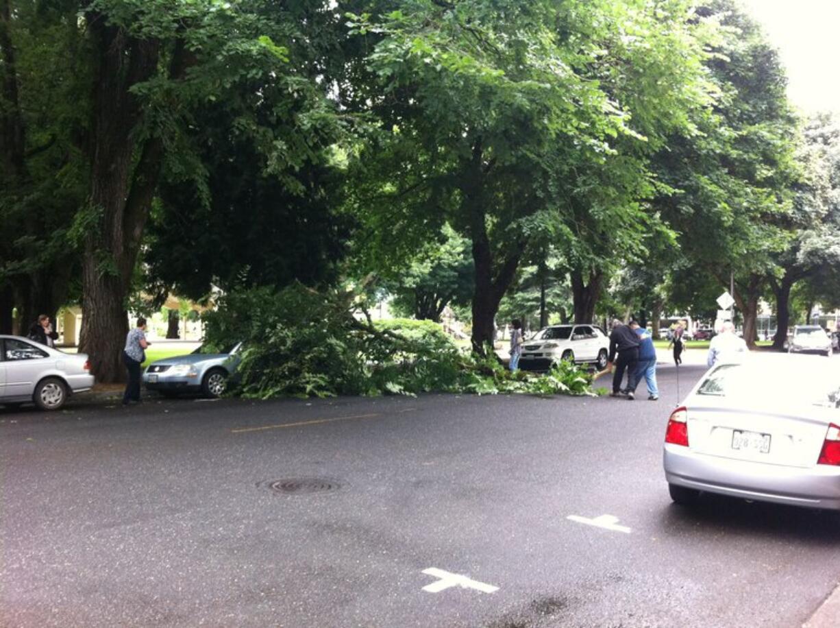 A tree branch dangled briefly, then fell from a tree in Esther Short Park onto a car parked on 8th Street downtown.