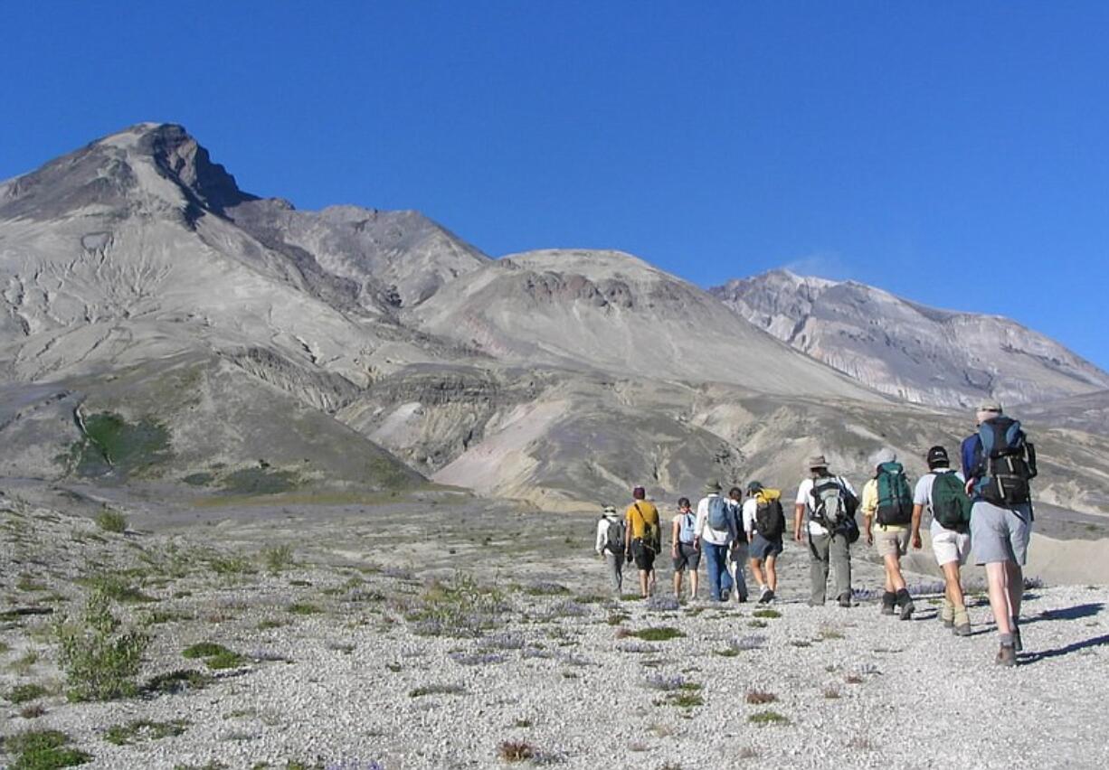 Researchers and students hike across the pumice plain north of Mount St.