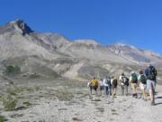 Researchers and students hike across the pumice plain north of Mount St.