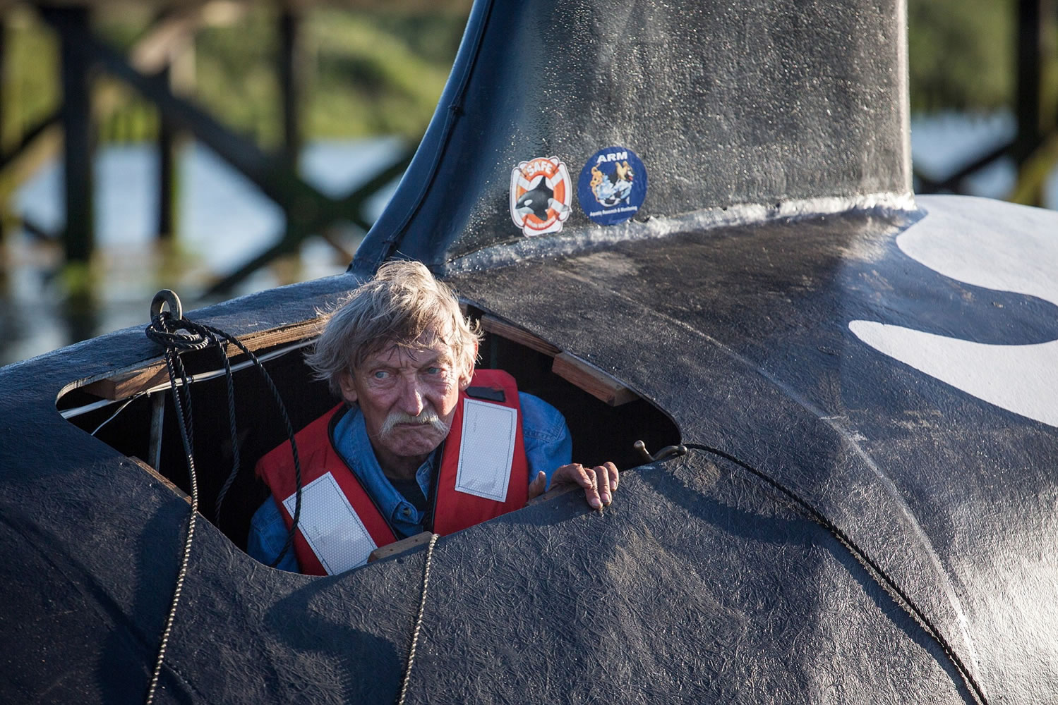 John Wilfer, the pilot of the fake life-sized orca vessel, looks out from an opening as the whale is moved into position in the East End Mooring Basin on Thursday in Astoria, Ore.