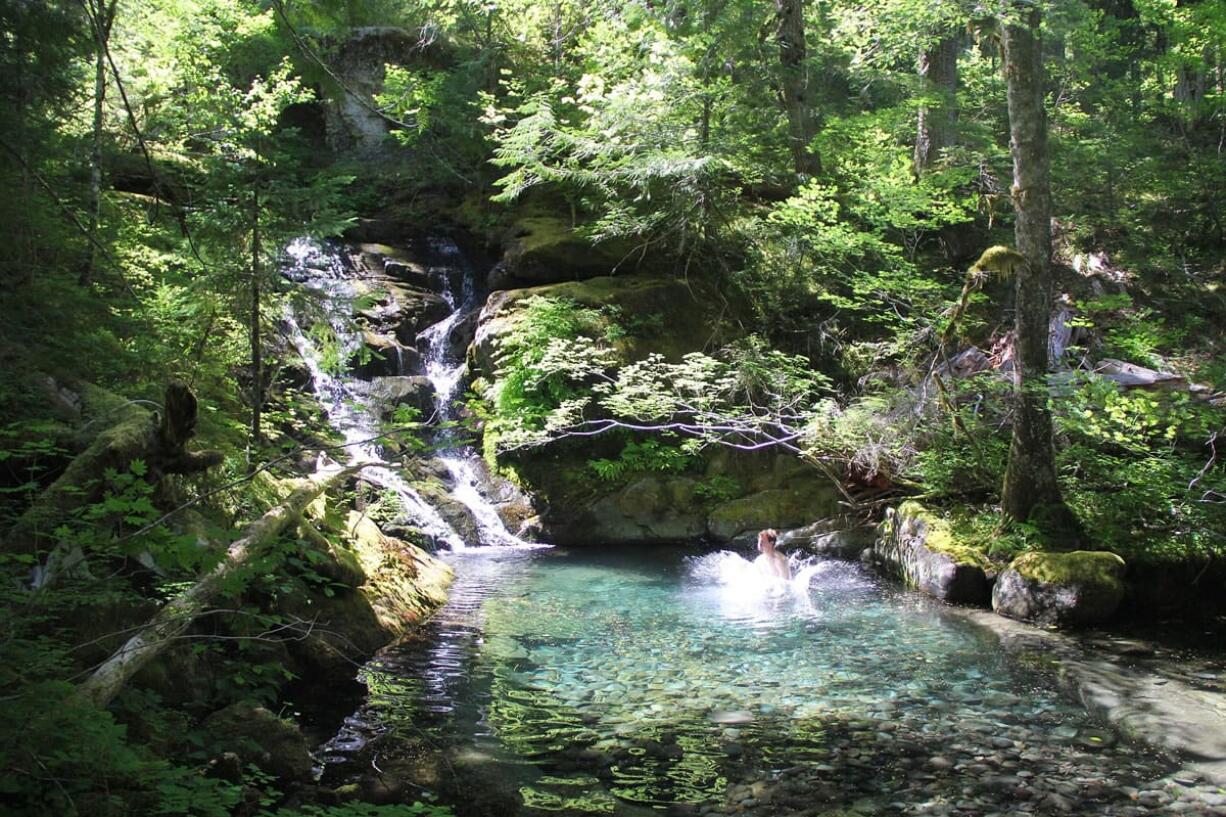 Courtesy of Zach Urness/Statesman Journal
Zach Urness jumps into a swimming hole on Opal Creek in the off-trail area of the Opal Creek Wilderness east of Salem. The area, once ground zero in the &quot;forest wars,&quot; is now one of Oregon's most popular recreation destinations.