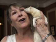 Candace Lucas poses for photos with her pet ferret Tink.