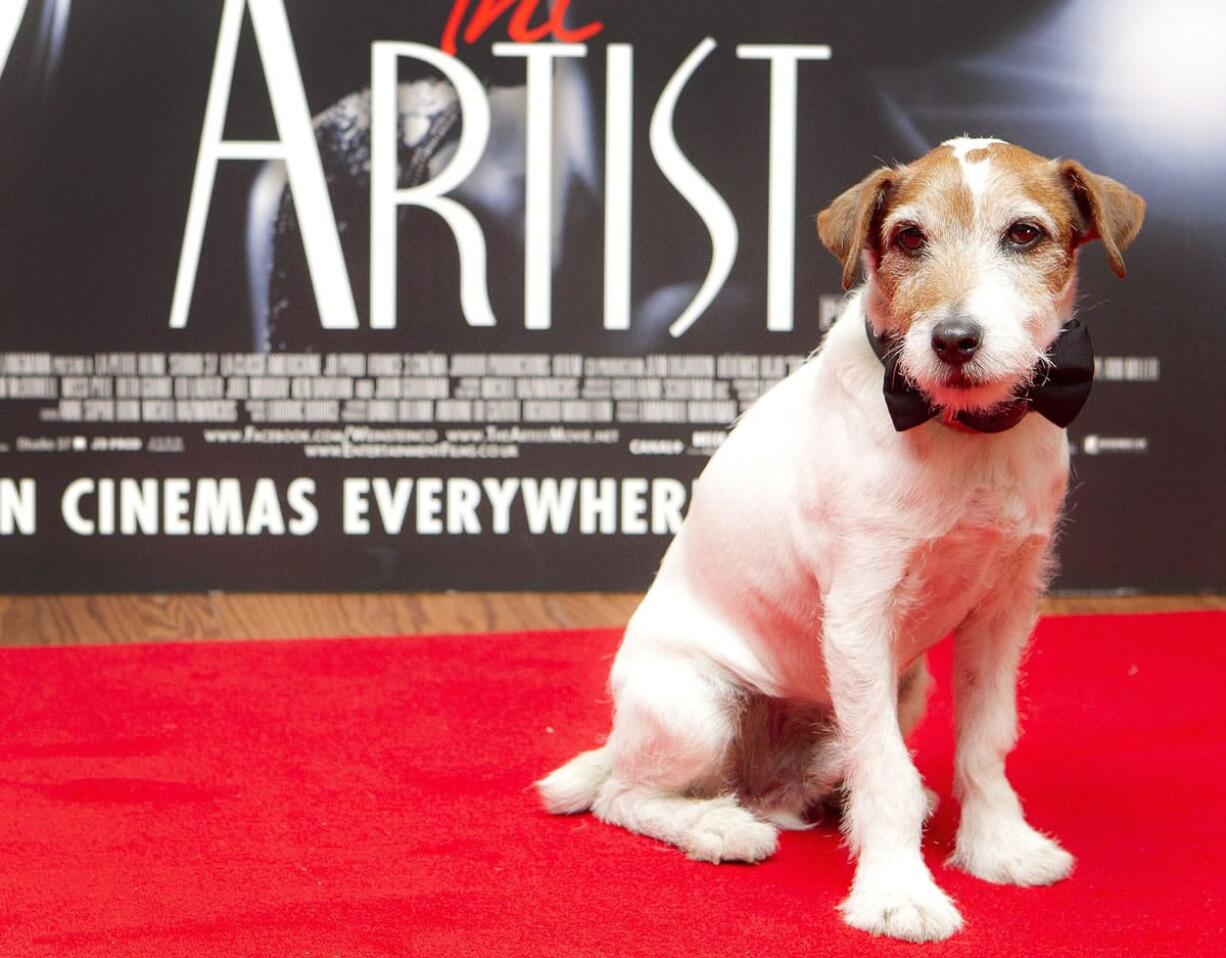 Uggie the dog, who starred in the film &quot;The Artist,&quot; attends a special screening at a London cinema.