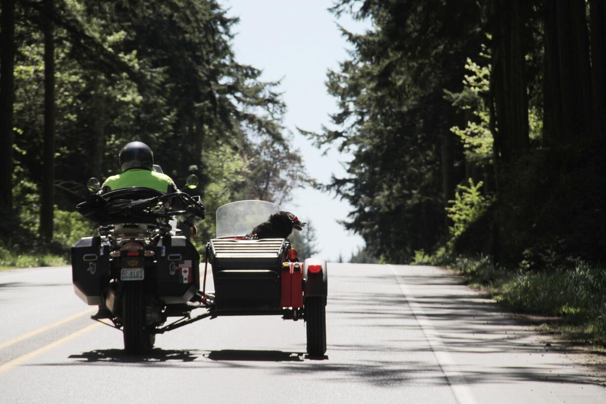 Gary McLuen, with his dog Jake the Wonderdog, ride in a 2008 BMW GS/A motorcycle in Port Townsend. These dogs are set apart by speed instead of breed and like to fly like the wind in a blimp-shaped bucket attached to the side of a motorcycle.