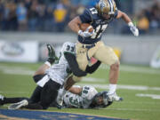 Montana State running back Chad Newell (17) hurdles a Portland State defender during the second half Saturday, Nov. 8, 2014 in Bozeman, Mont. Montana State won 29-22.