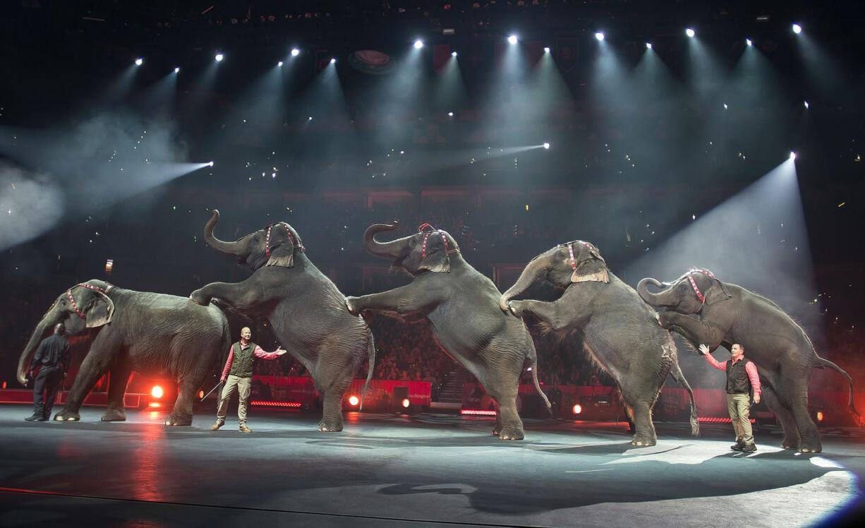 Elephants perform Jan. 3 at the Ringling Bros.