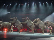 Elephants perform Jan. 3 at the Ringling Bros.