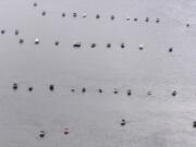 Lines of anchored boats dot the lower Columbia River during the spring chinook fishing season.