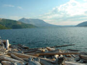 The end of Harmony Falls trail is the only point where visitors legally can access Spirit Lake in the Mount St.