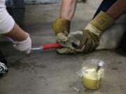 A just-rescued sea lion pup is tube-fed a formula at the Pacific Marine Mammal Center March 2 in Laguna Beach, Calif.