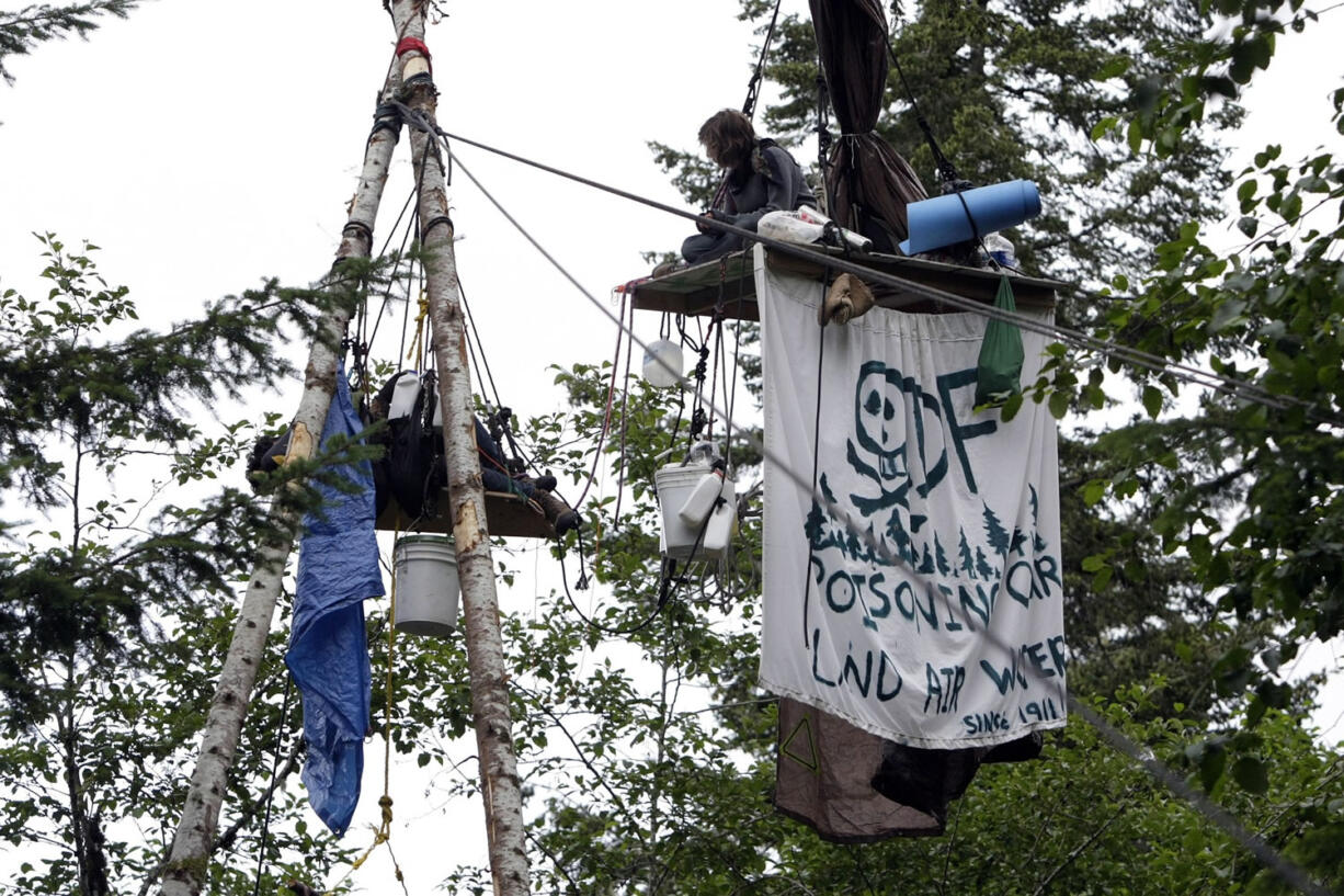 Unidentified protesters at Elliott State Forest near Reedsport, Ore., try to block a timber sale in July 2009.