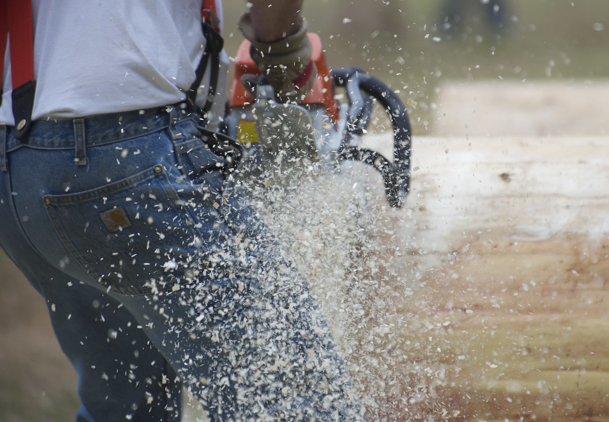 Sawdust flies as Charlie Davis of Amboy takes a run at the Chain Race during the annual Amboy Territorial Days celebrating local logging and pioneering history in Amboy in 2012.