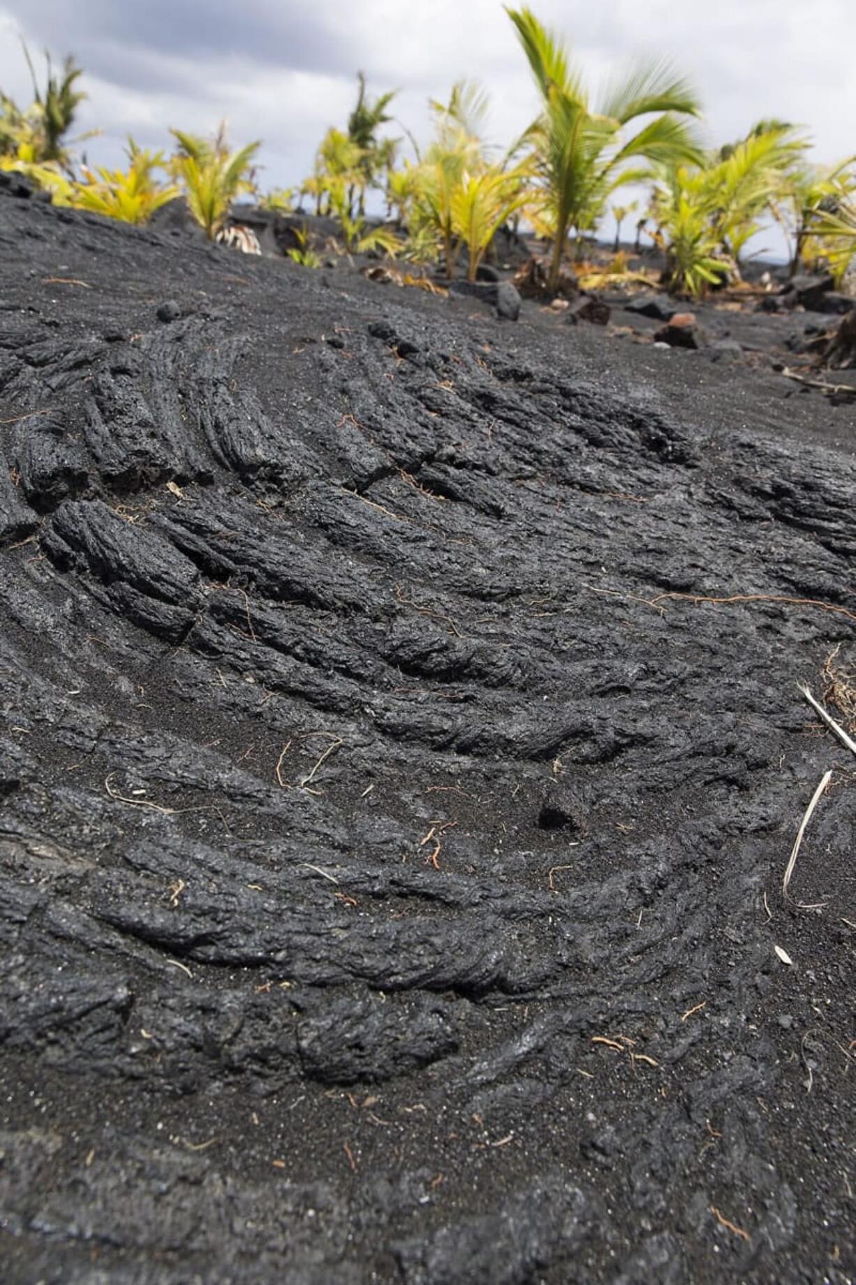 A lava field near the New Kaimu Beach, in Kalapana, Hawaii.