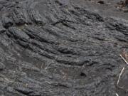 A lava field near the New Kaimu Beach, in Kalapana, Hawaii.