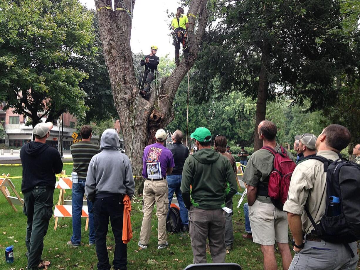 Arborists discuss tree climbing methods in Esther Short Park as part of the Pacific Northwest International Society of Arboriculture conference at the Hilton Vancouver Washington this week.