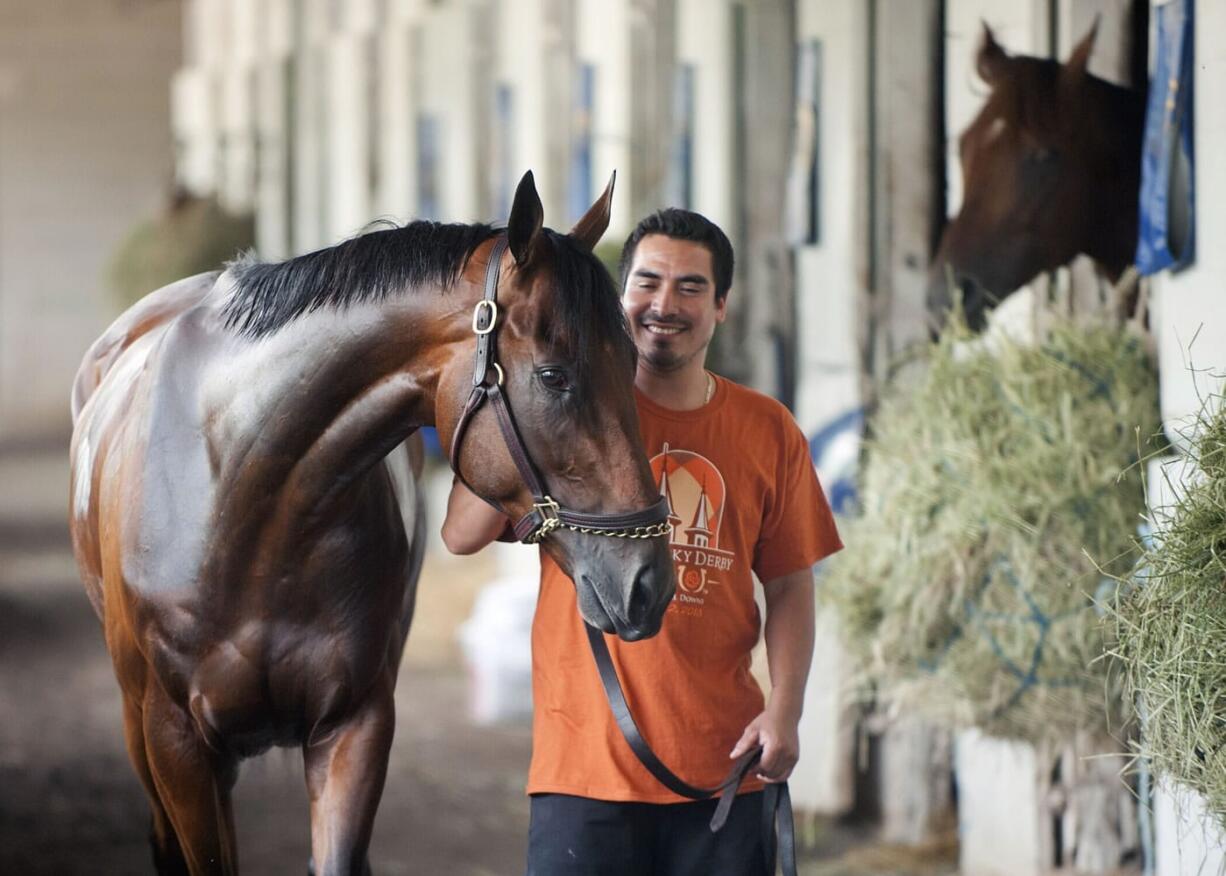 Hot walker and groom Giovanni Catalin walks American Pharoah at the Bob Baffert stables on the backside of Churchill Downs in Louisville, Ky., Sunday, June 7, 2015. American Pharoah won the Belmont Stakes to become the first horse to win the Triple Crown in 37 years.