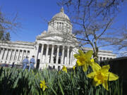 The state Capitol in Olympia. Washington is one of at least 18 states considering measures that would crack down on revenge porn, according to the National Conference of State Legislatures. State Rep.