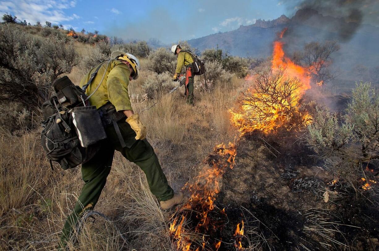 Kevin Green, left, tries to stamp down flames while Brandon Scott uses a chainsaw to cut sagebrush as a wildfire threatens eight homes on Skyline Drive in Wenatchee early Sunday. Fire officials told residents to be ready to evacuate as the wildfire spread to several ridge lines behind the community on Sunday morning.