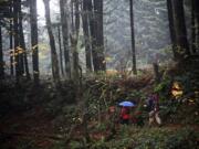 A couple walks the Bridge of the Gods Trailhead on the Pacific Crest Trail in Cascade Locks, Ore., in November 2013.