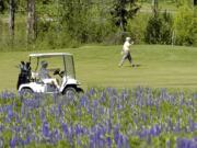 Golfers make their way along the fairway on the 10th hole at the Green Mountain Golf Course.