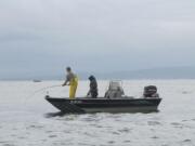 Sportsmen at Buoy 10 at the mouth of the Columbia River will be limited to fin-clipped coho starting Saturday.