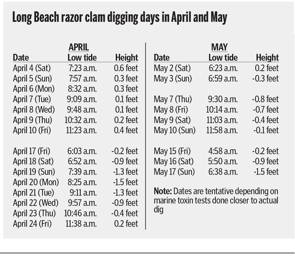 Tentative razor clam digging schedule