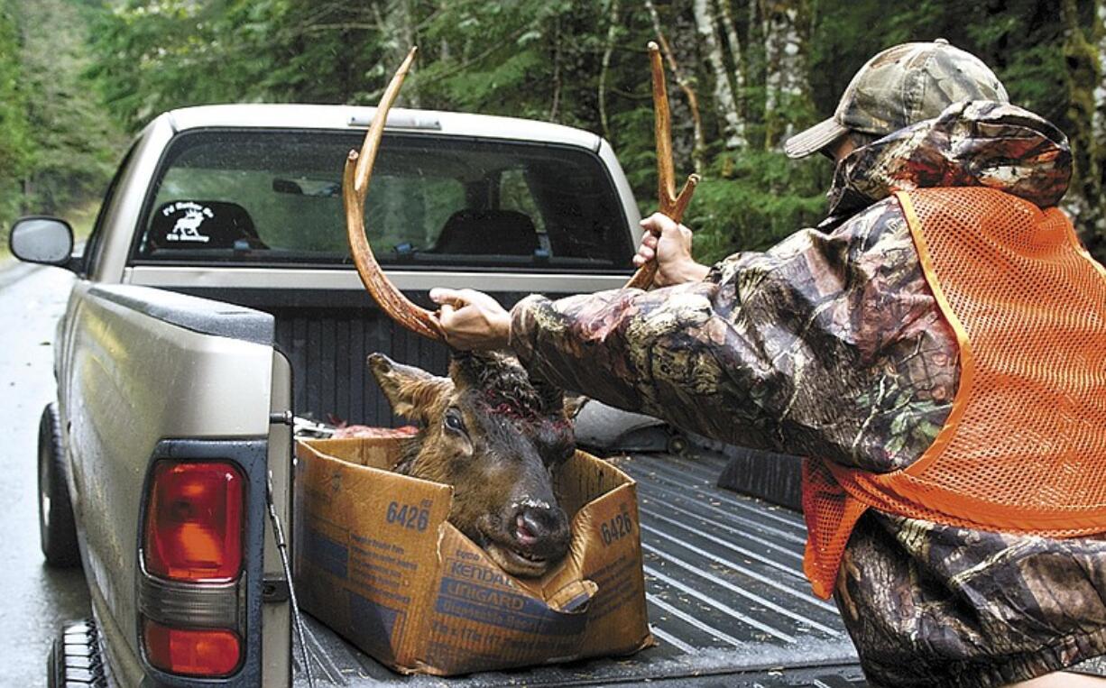 Dustin Meyer of Ridgefield shot a 3 by 3 bull the second day of the season.