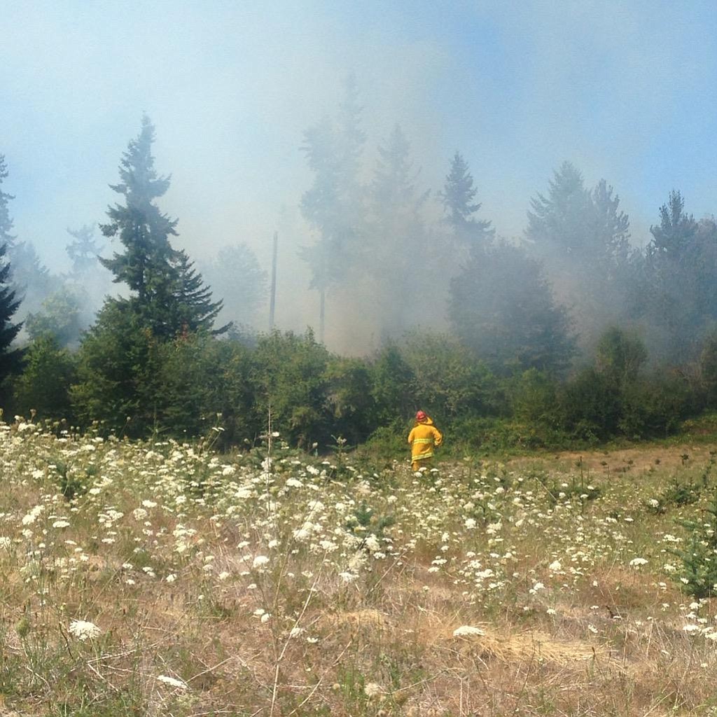 A firefighter looks toward a brush fire that ignited Tuesday afternoon near Salmon Creek, east of Northeast 72nd Avenue.