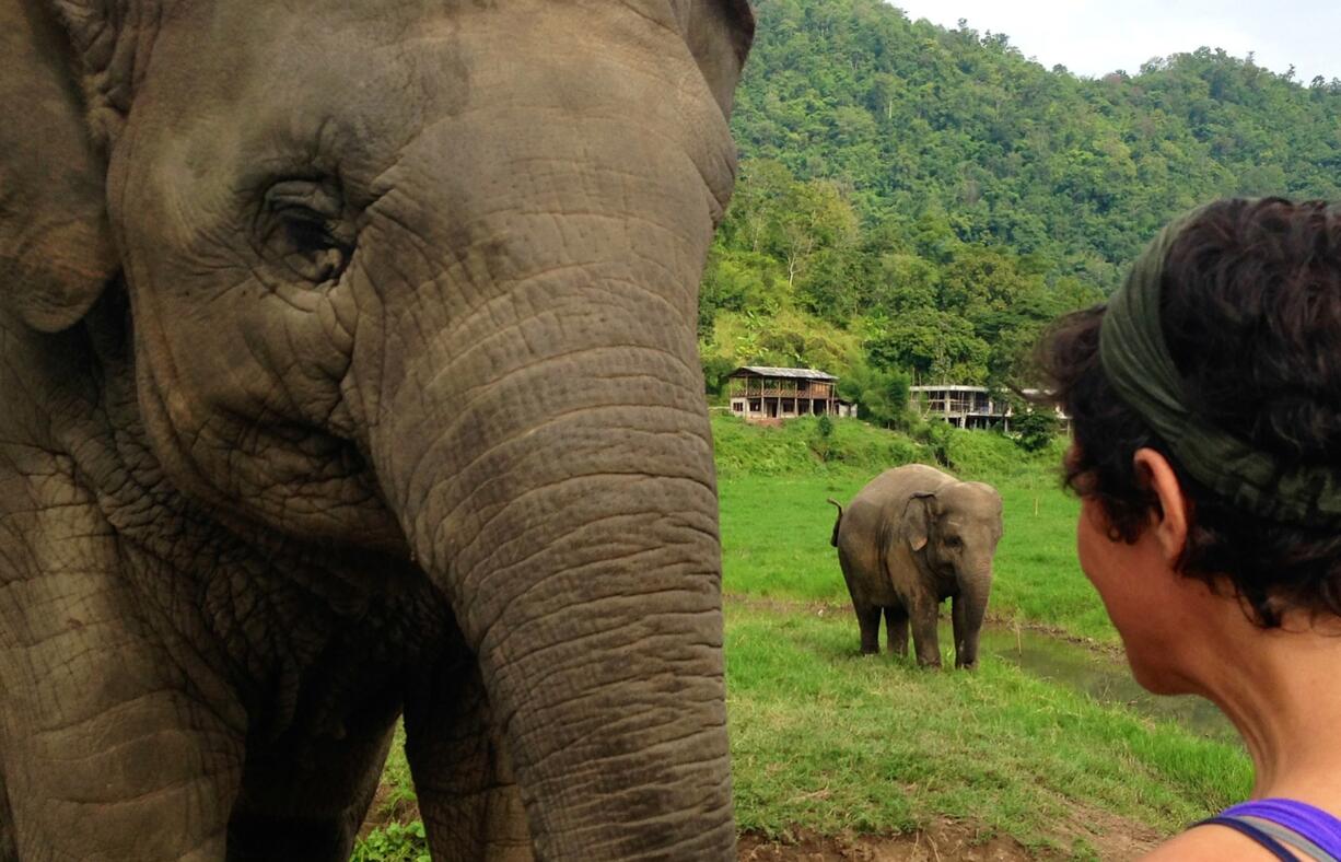 Hearing the term &quot;temple elephants&quot; on a podcast sparked Sundari SitaRam to travel to Southeast Asia to find out what she could do to help wild, endangered and captive elephants.