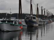 Fall gillnetting would continue indefinitely in the Columbia River between Woodland and Beacon Rock under Oregon's plan, but would end beginning in 2019 under the Washington plan.