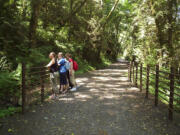 Columbian files
The East Fork of the Lewis River trail.