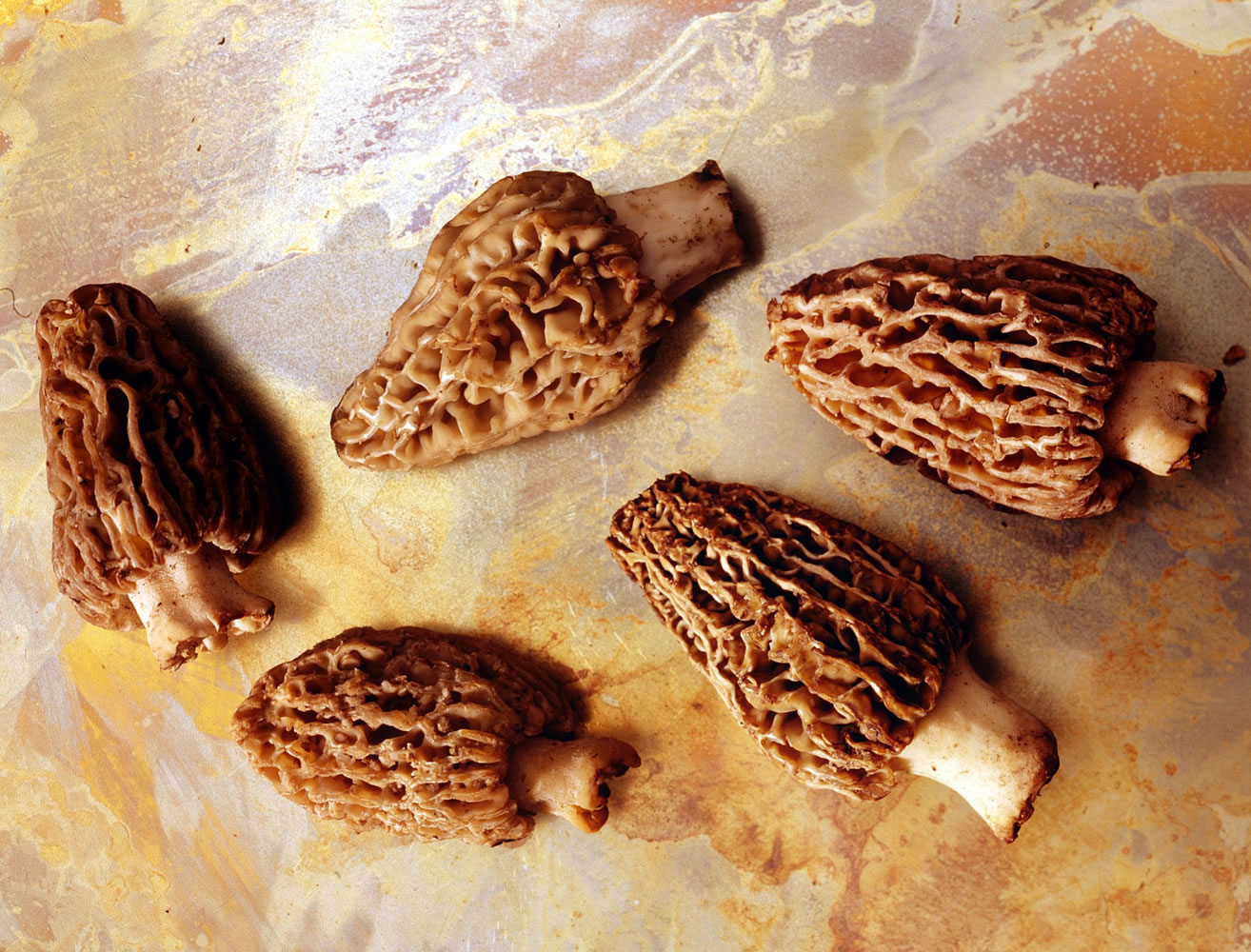 Fresh morel mushrooms.